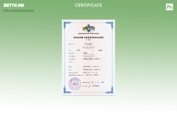 Модерен стил Есватини витален запис за шаблон за ПСД извод од матична книга на